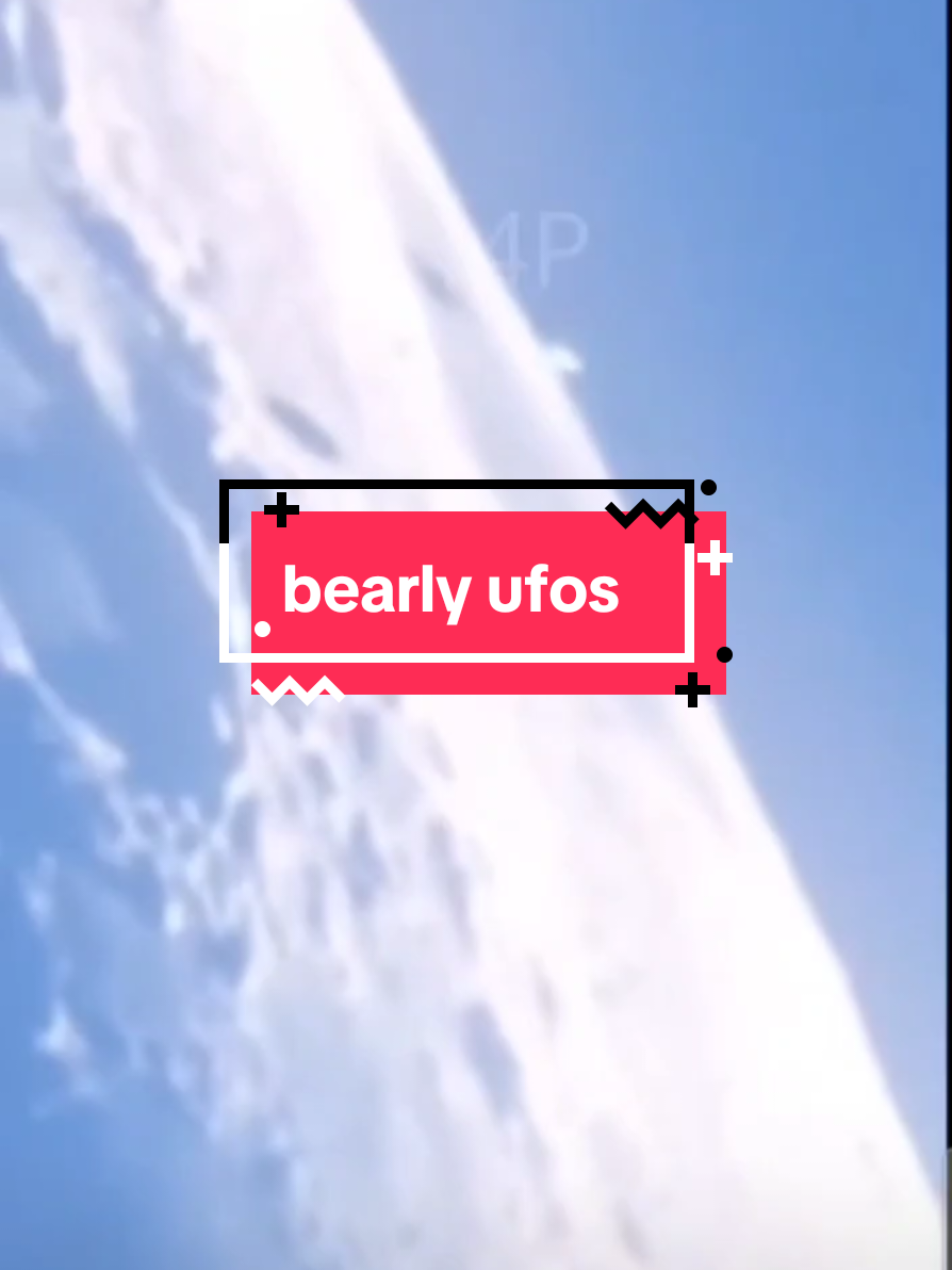 @bearlyconspiracies
