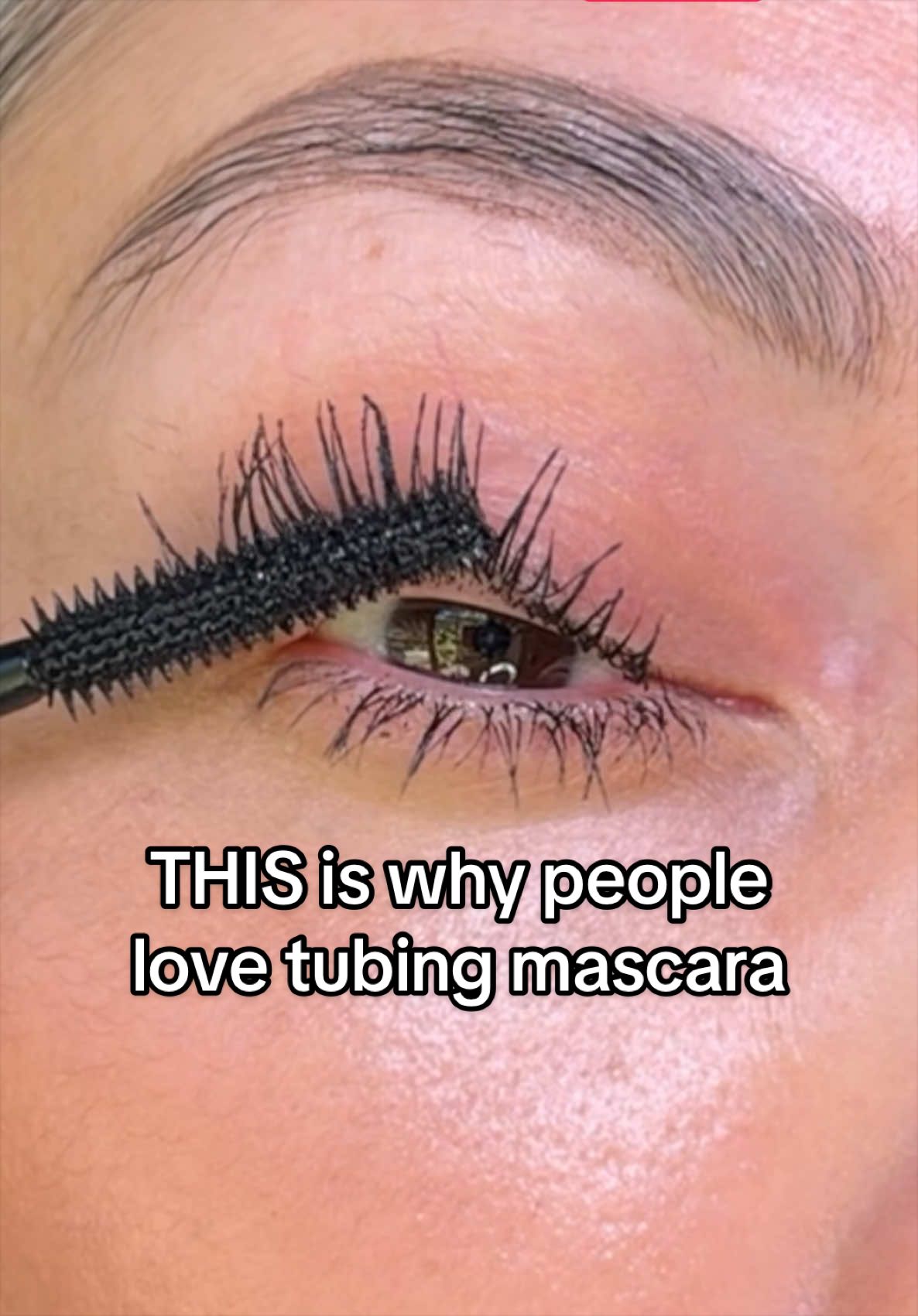 @Sonia Castaneda