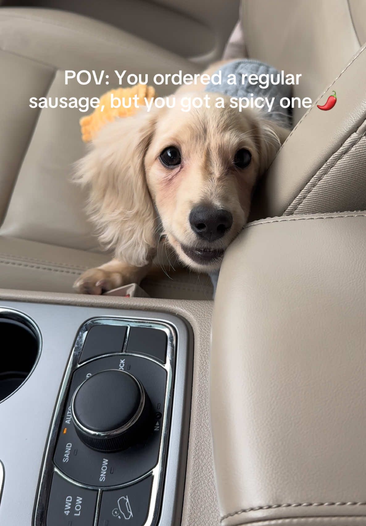 @ElChapoTheWeen