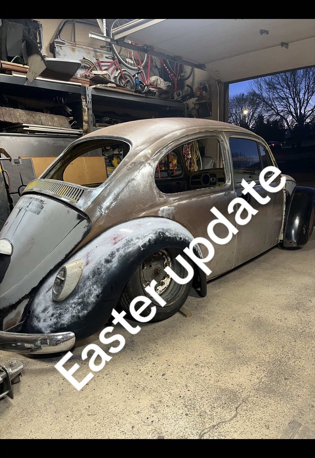 @66ishbeetle