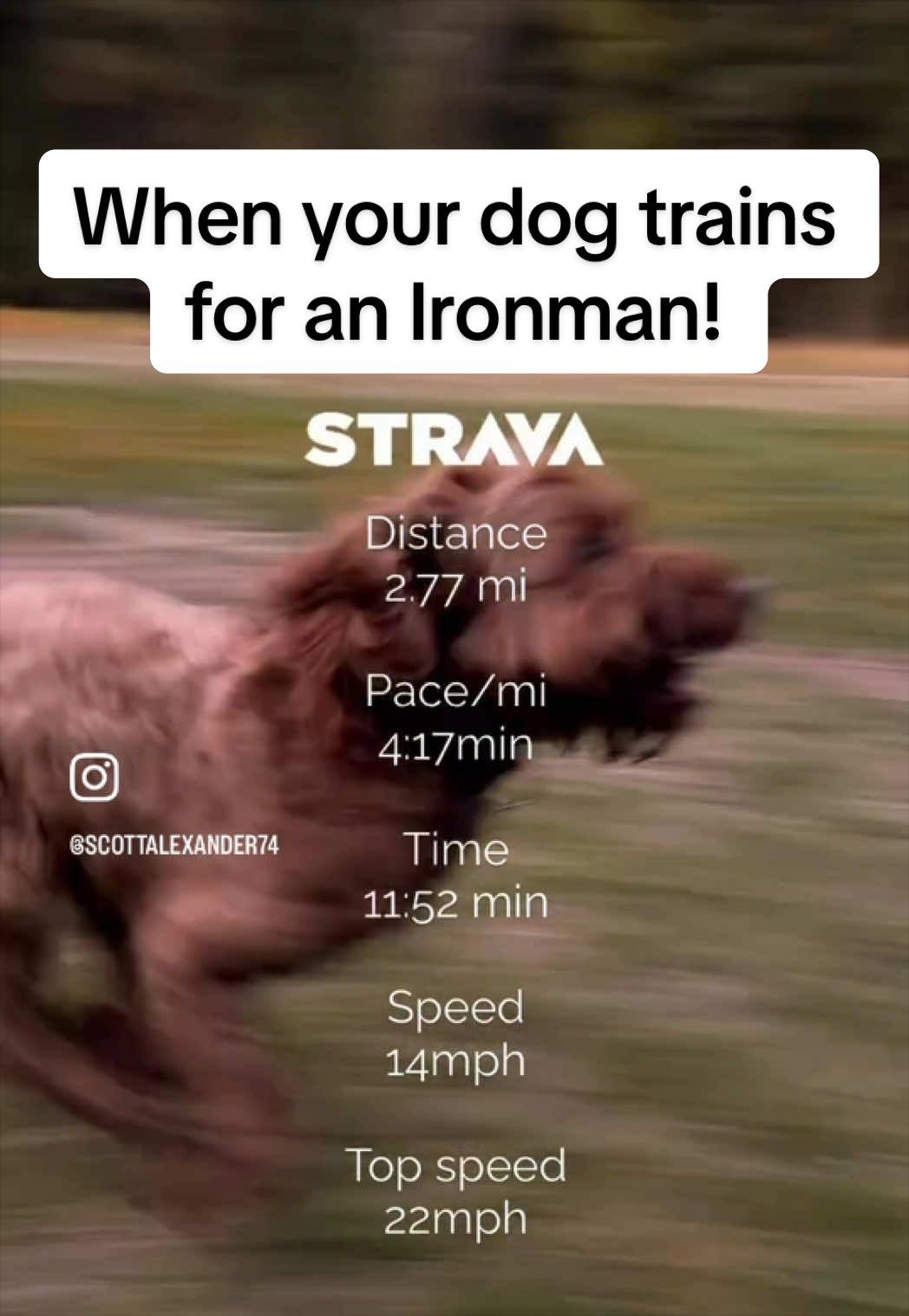 @Zero to 70.3