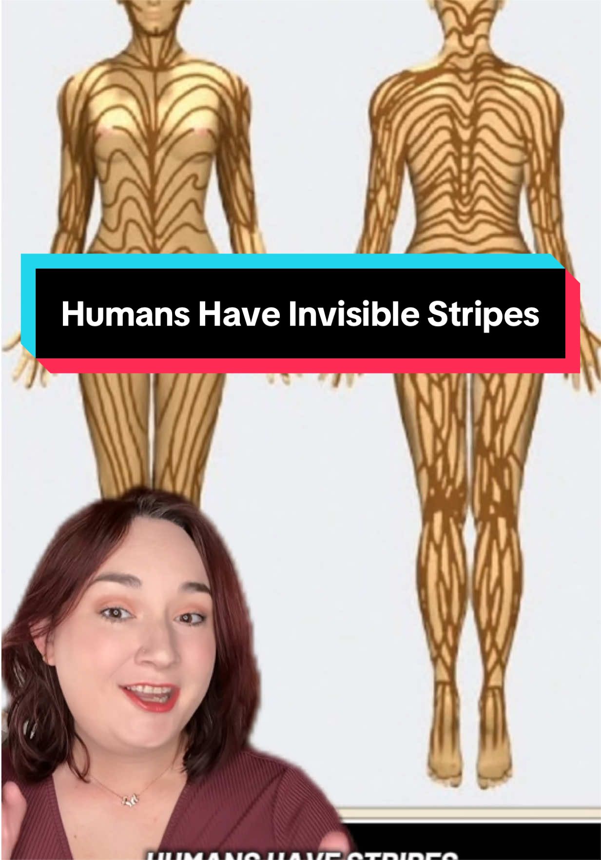 @Lexi Natoli