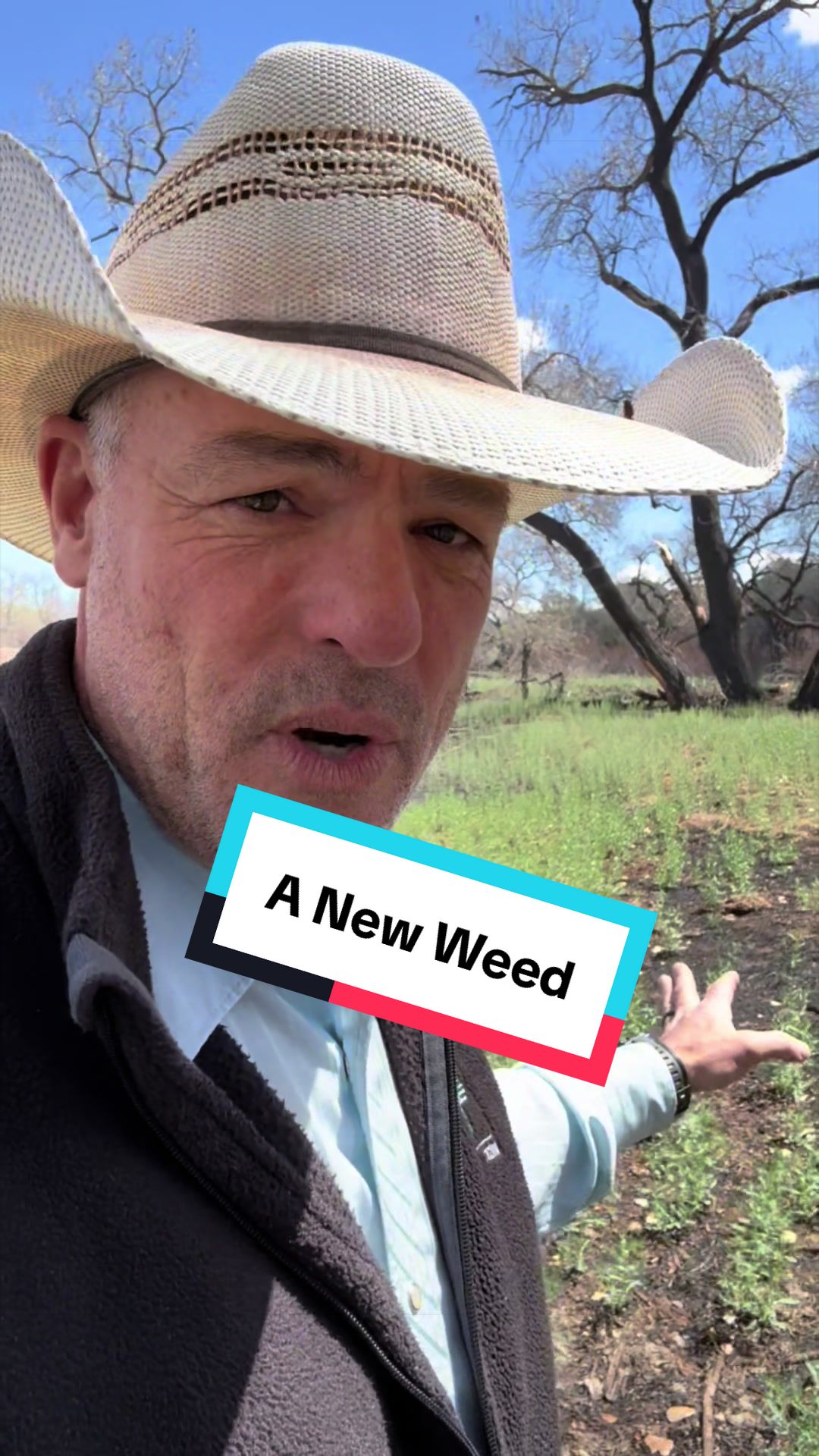 @cowboymax