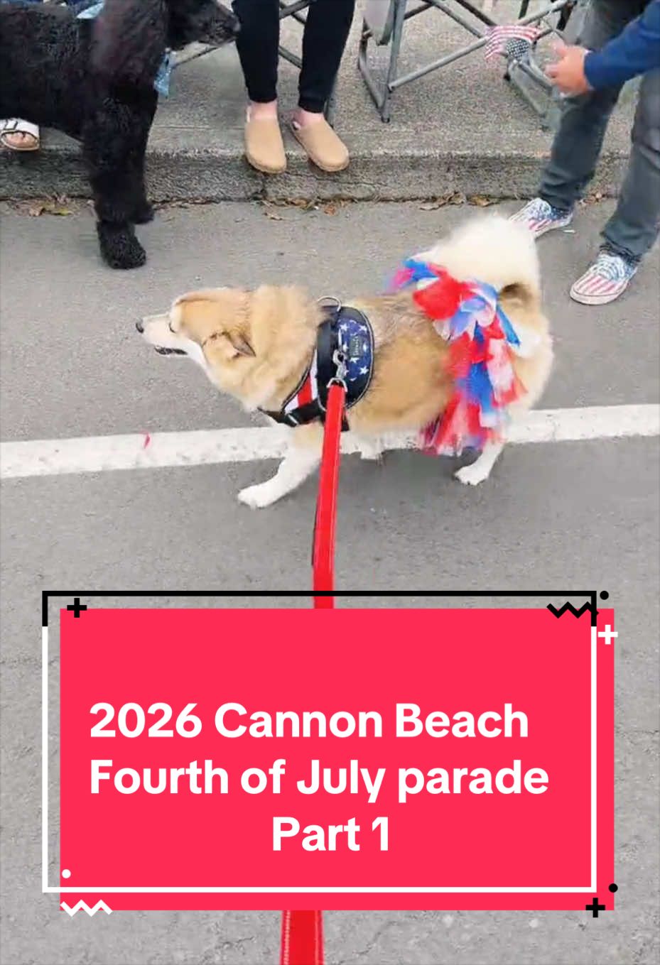 @Ruby the Pomsky