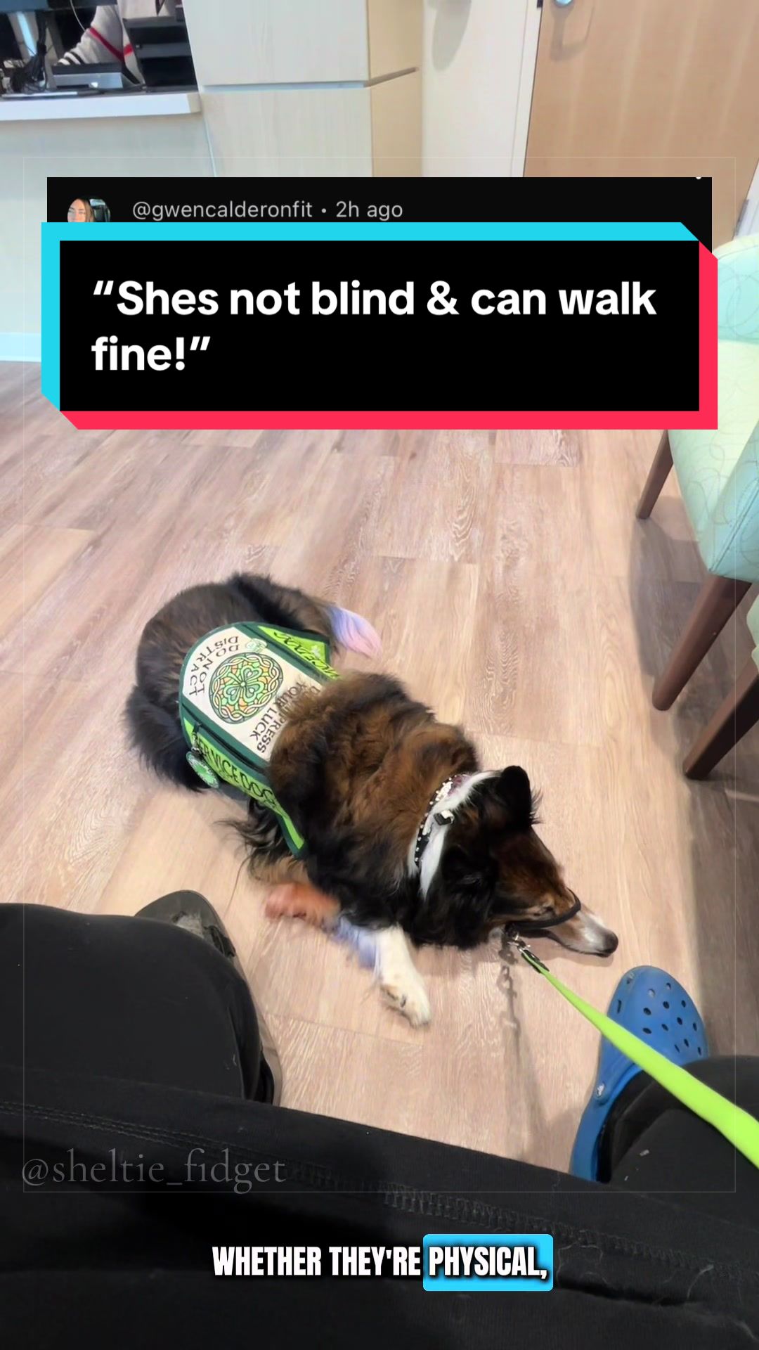 @Dakota & Pups