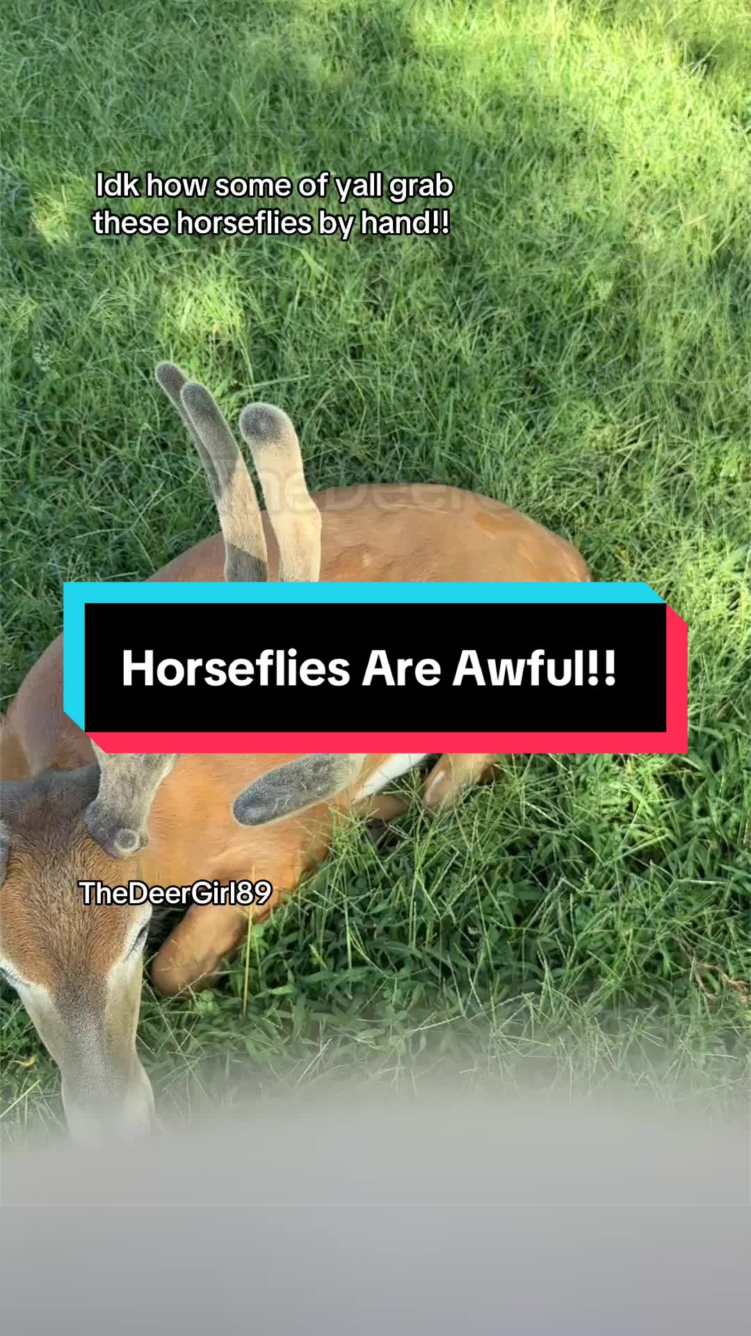 @The Durr Girl
