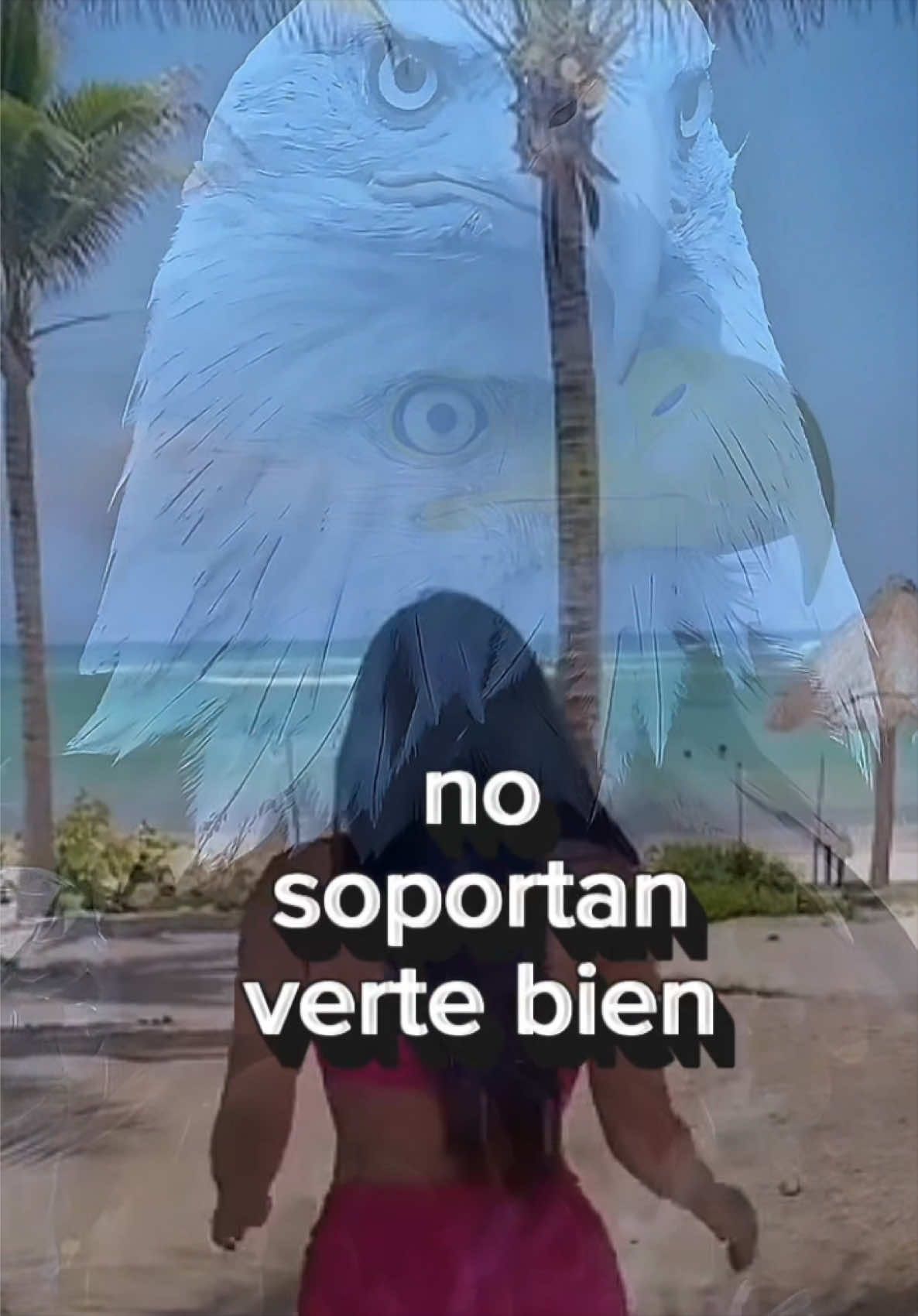 @evaroxusa⚜️🐢