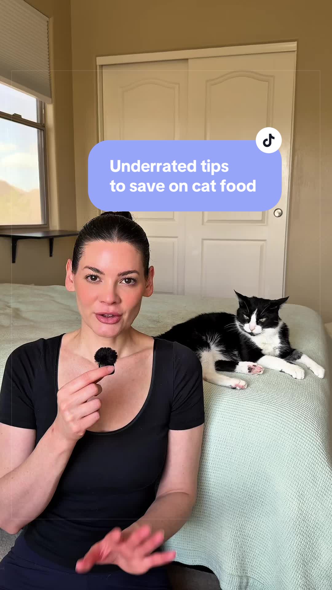 @Feminist Kitty | Cat Nutrition