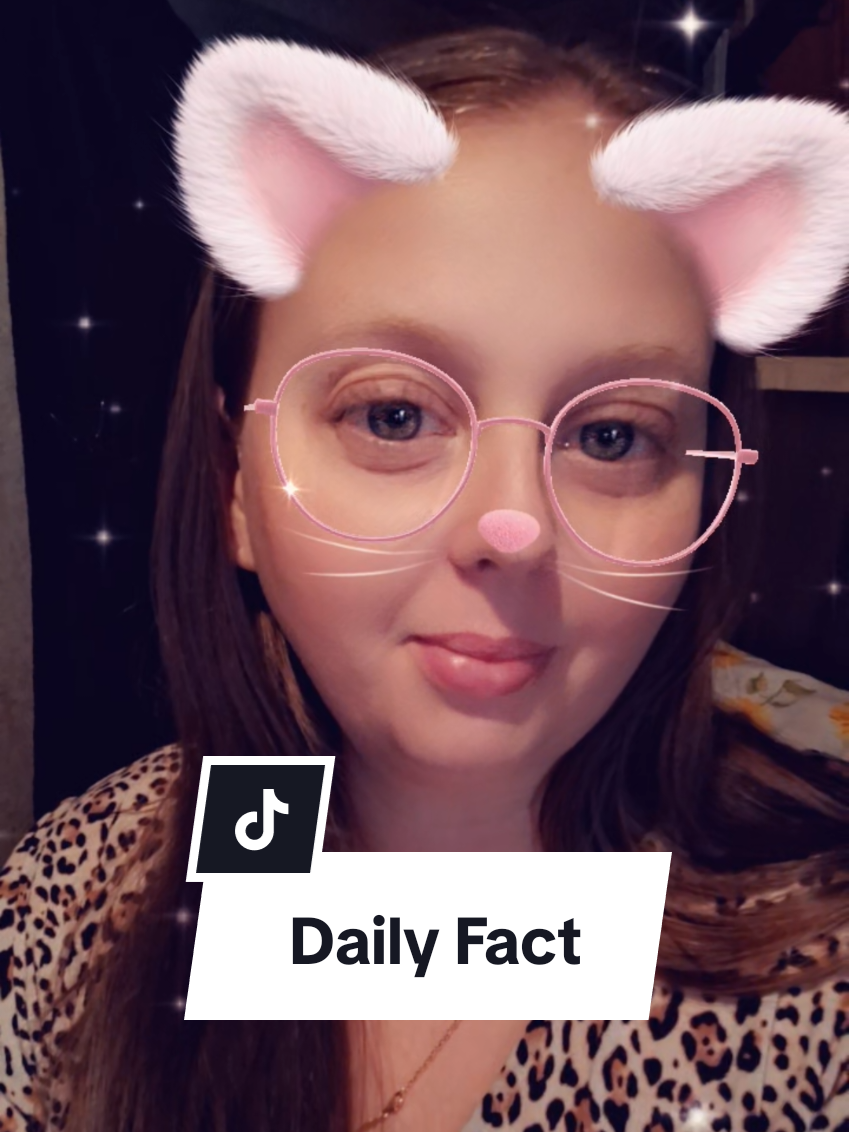 @Jessicaaaaaaaaa