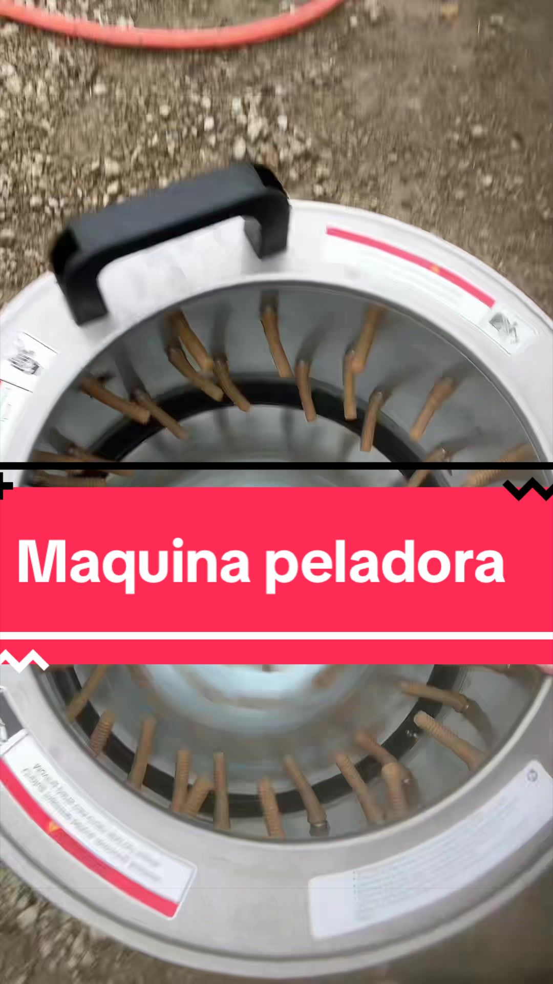@cubanaporsiempreventas1