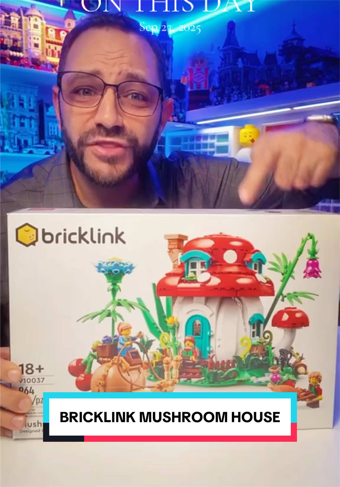 @ridzbricks