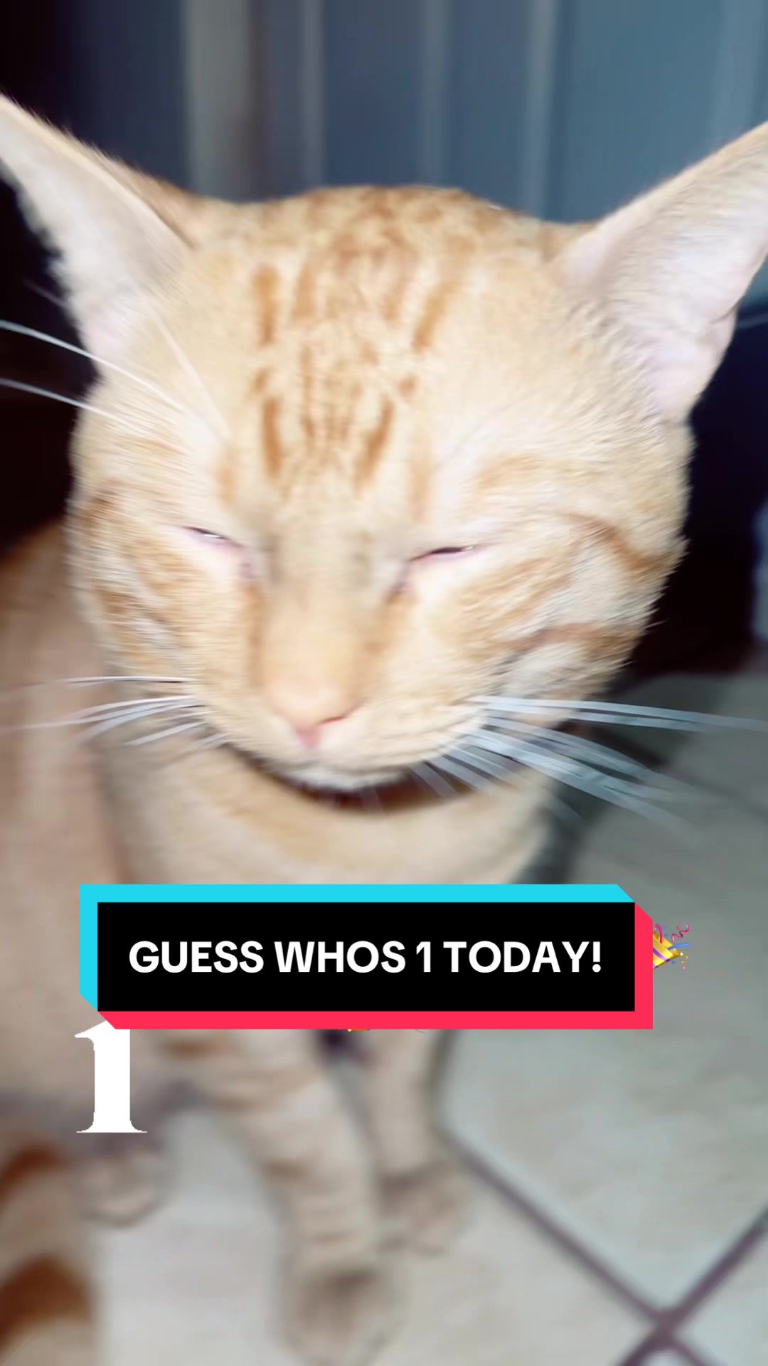 @𝓜𝓪𝓬𝓵𝓸𝓿𝓮