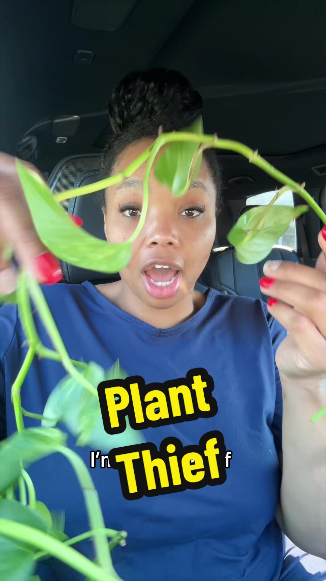 @LifeintheAshlaneLLC