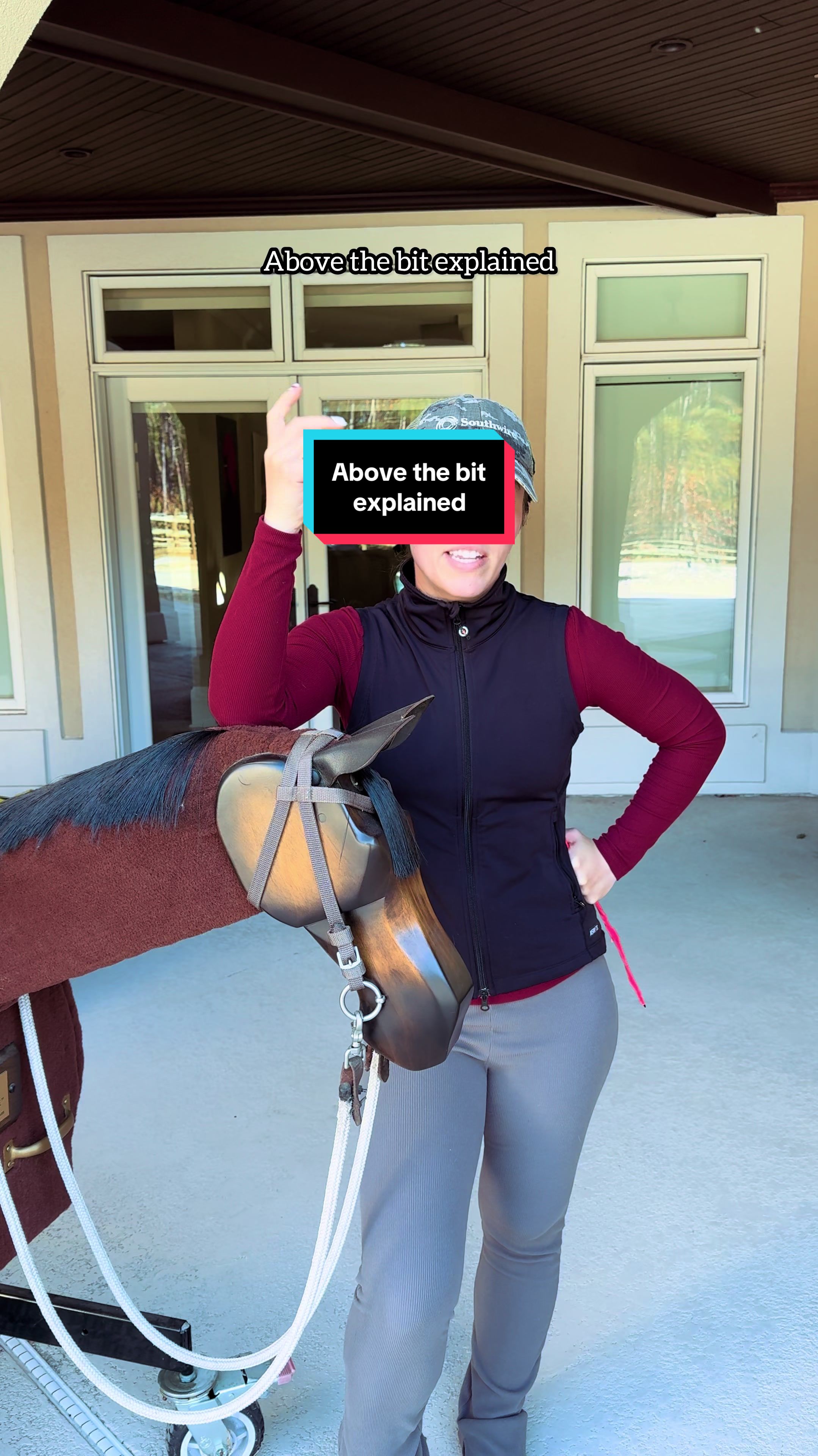 @TheSouthernHorsegirl
