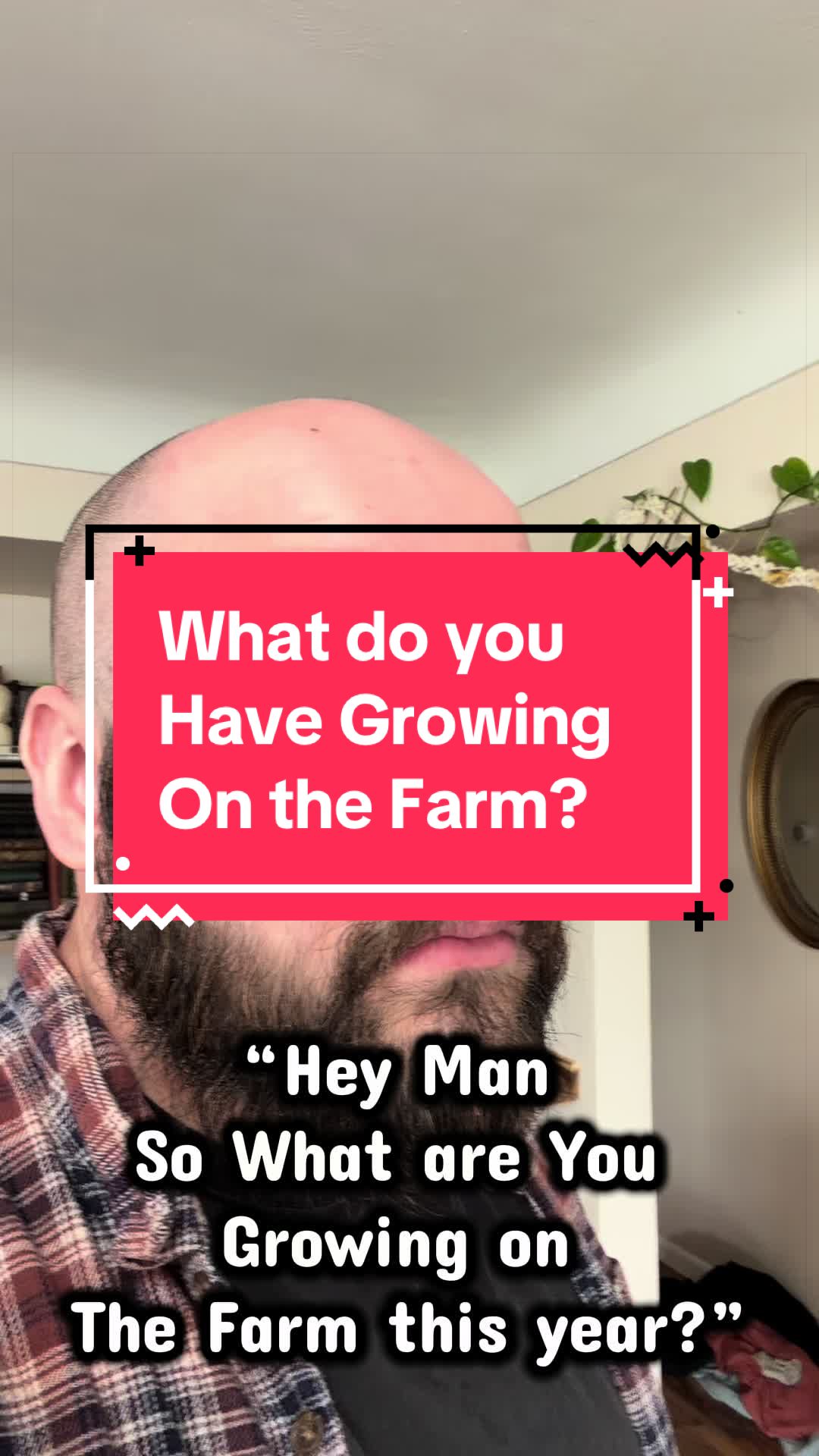 @The Farm On U-Road