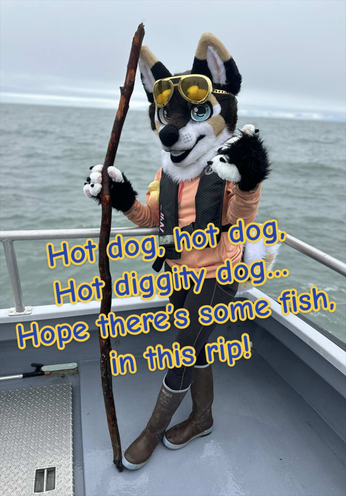 @Kodiak