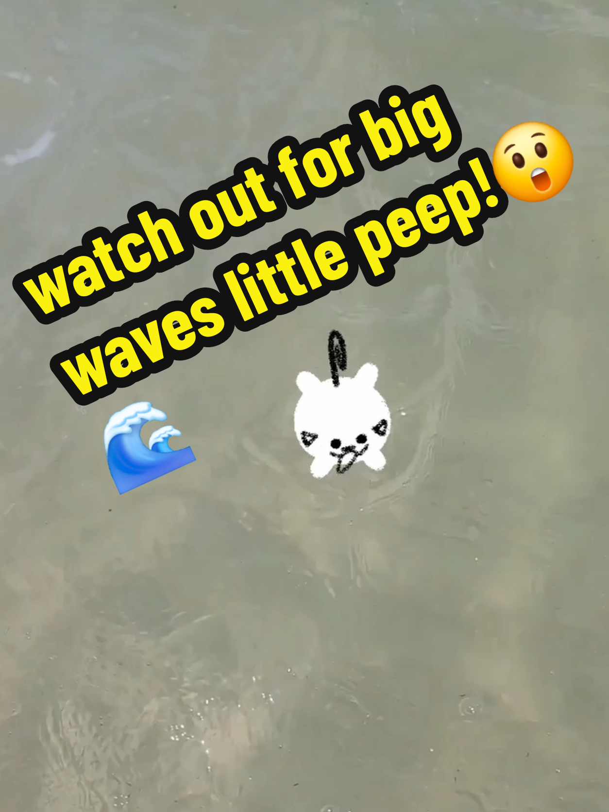 @pipapeep
