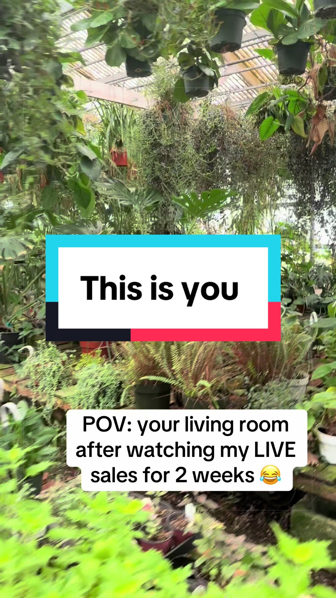 @Brandon The Plant Guy