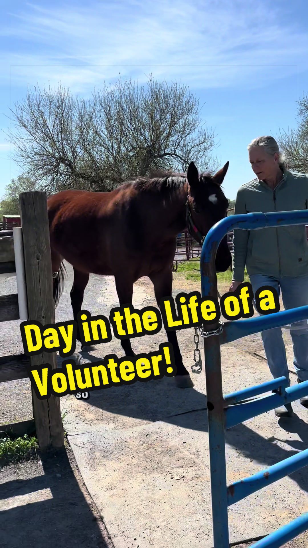 @Days End Farm Horse Rescue