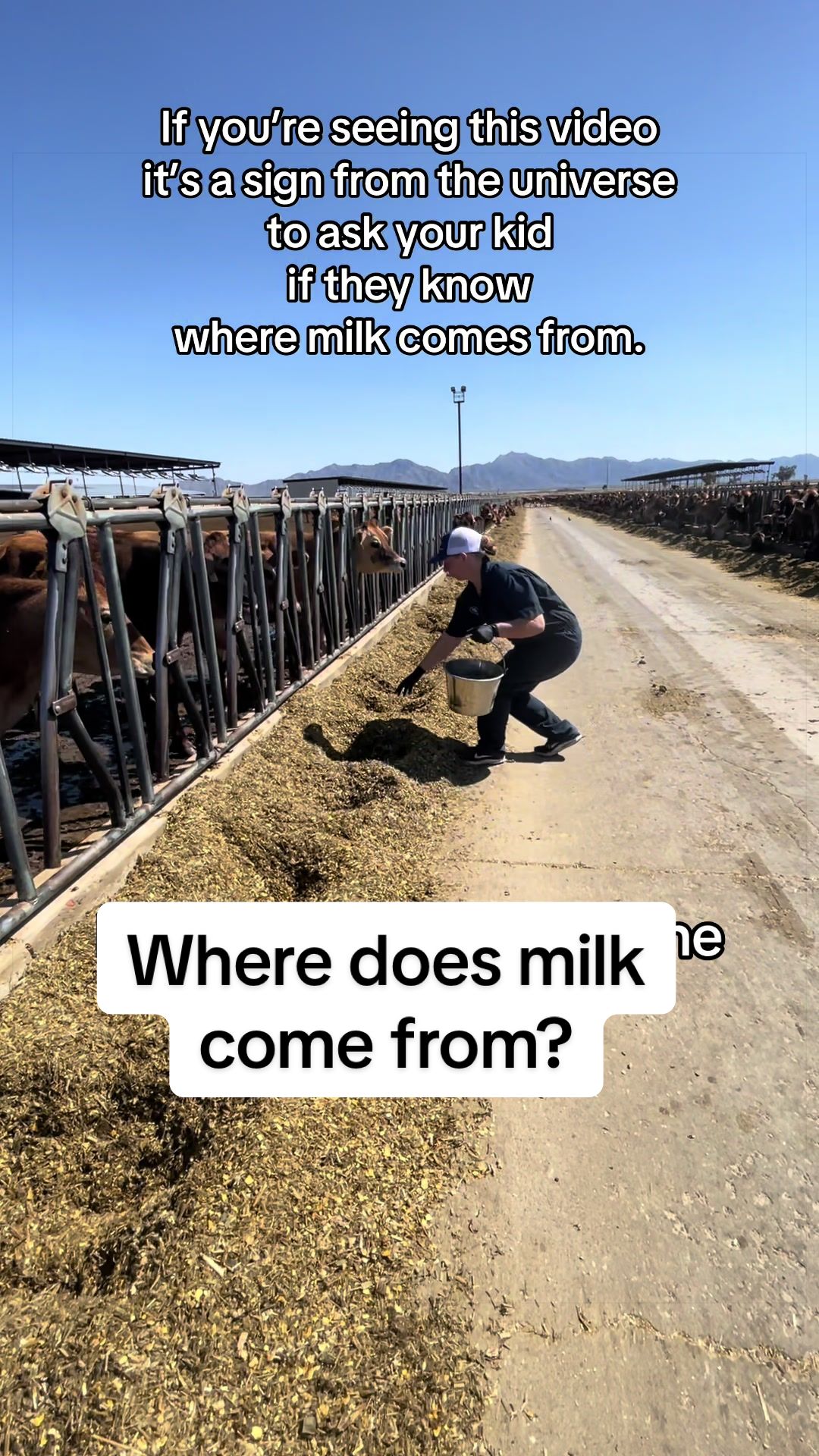 @Dairy Vet Dr. Michelle