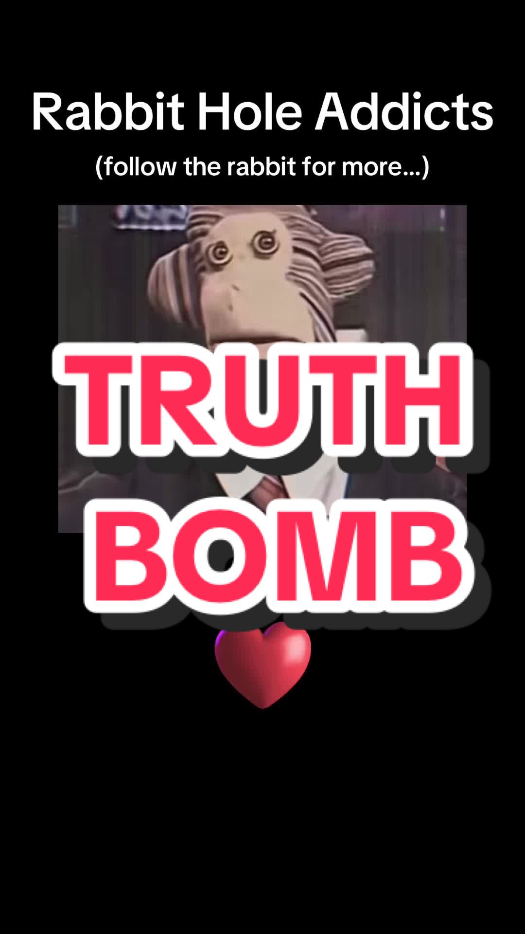 @rabbit_hole_addicts