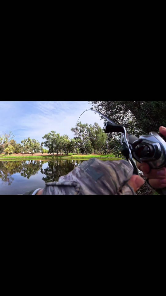 @SalmonInTheDesert