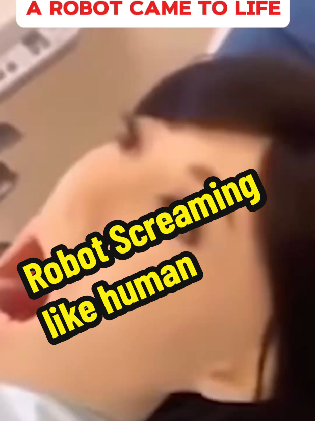 @Dubox
