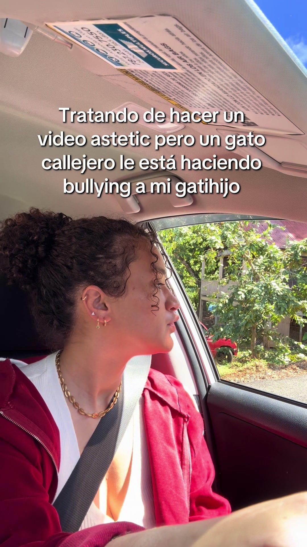 @Liexy Meléndez Gracia