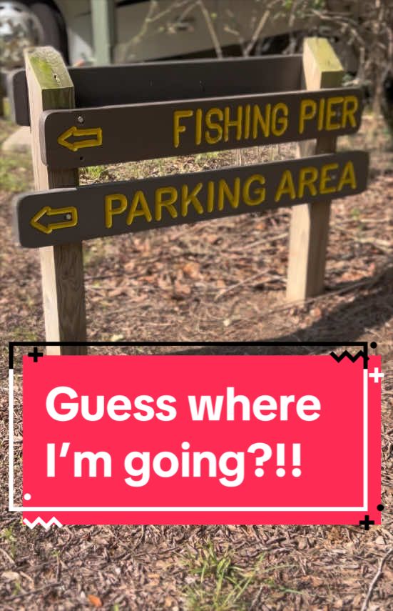 @lori_in_texas 🥓