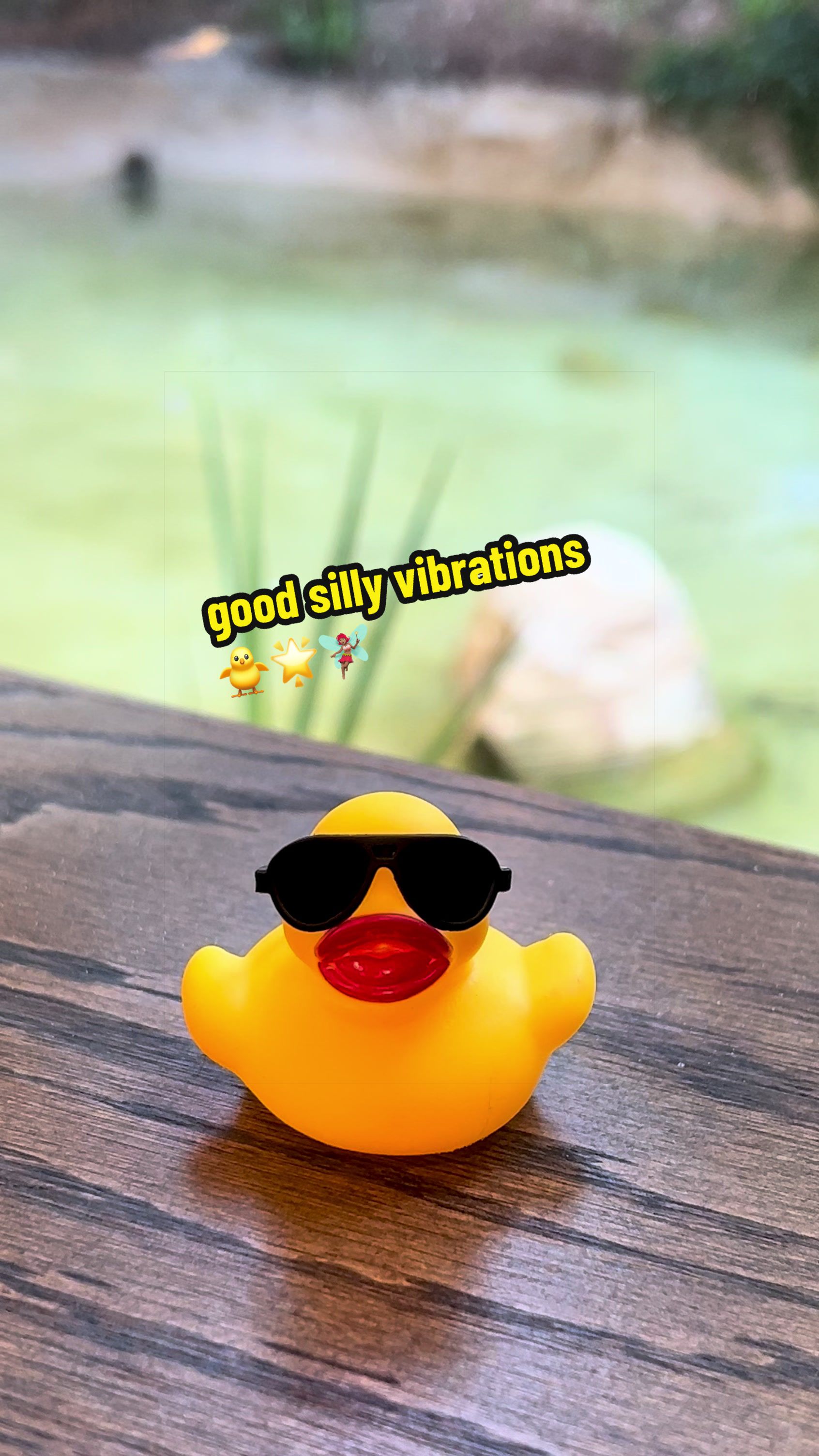 @TGVL