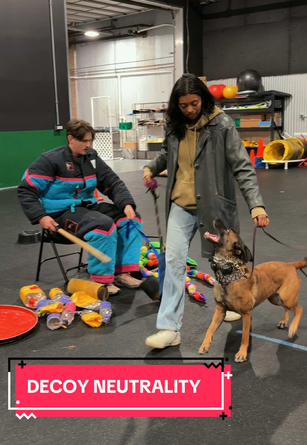 @dogstrainjen