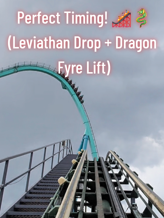 @amusemecoasters