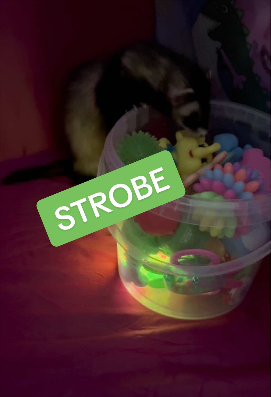 @Veritologic