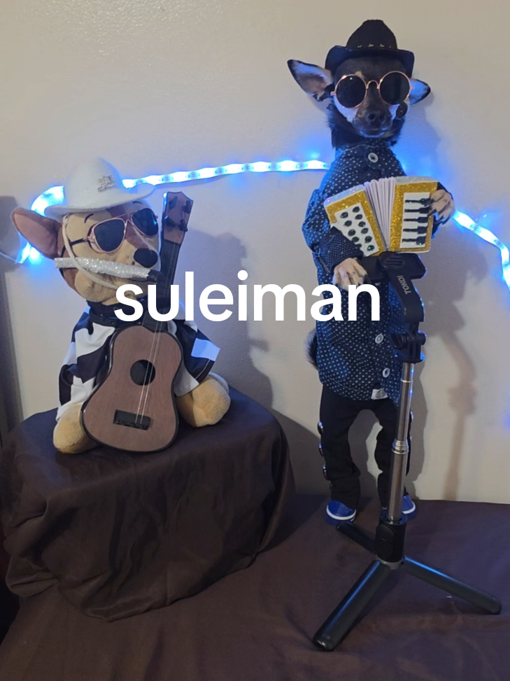 @suleiman 🐕