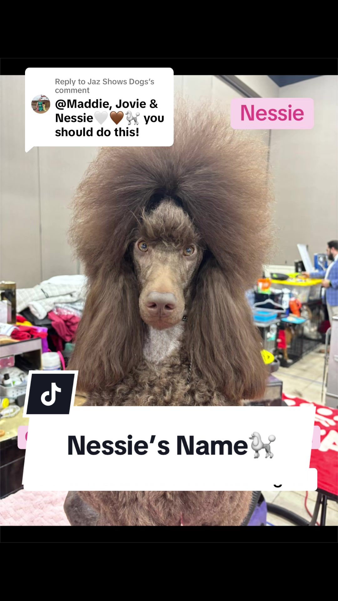 @Maddie, Jovie & Nessie🤍🤎🐩