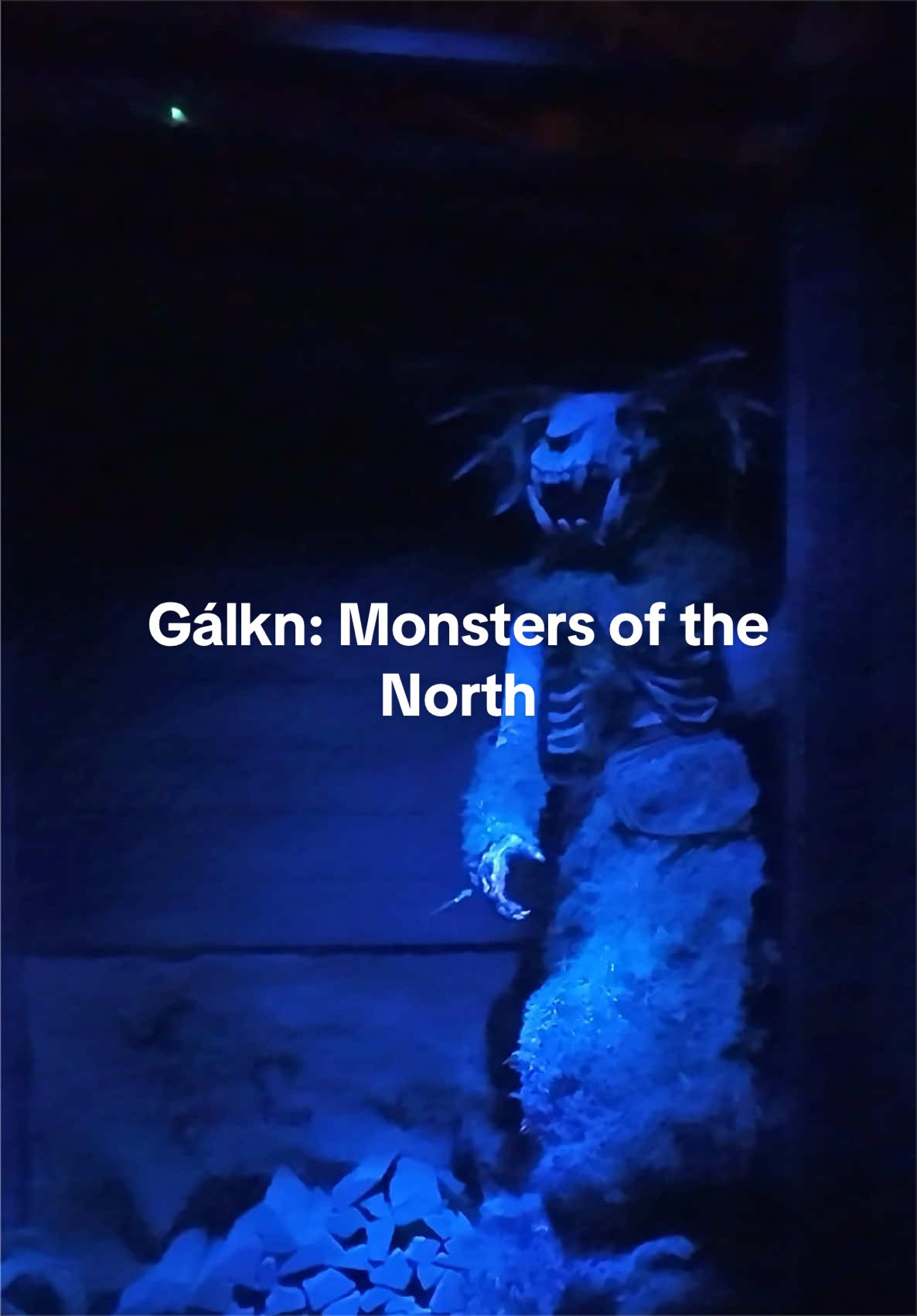 @Freaks_of_HHN