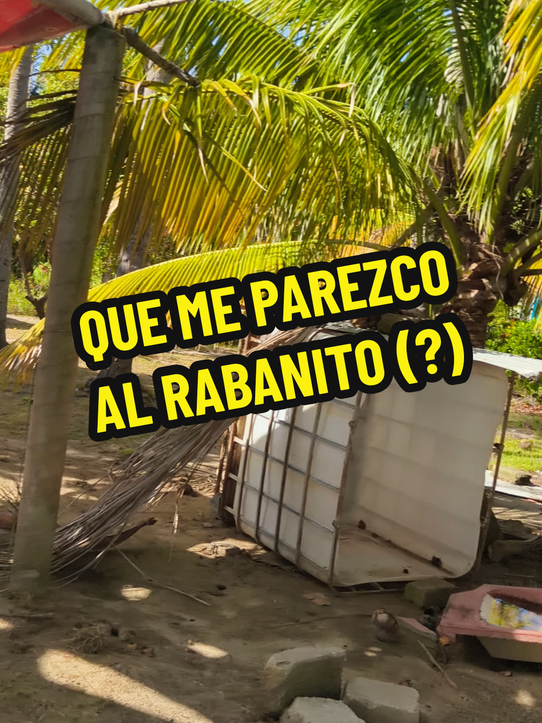 @El Wiicho