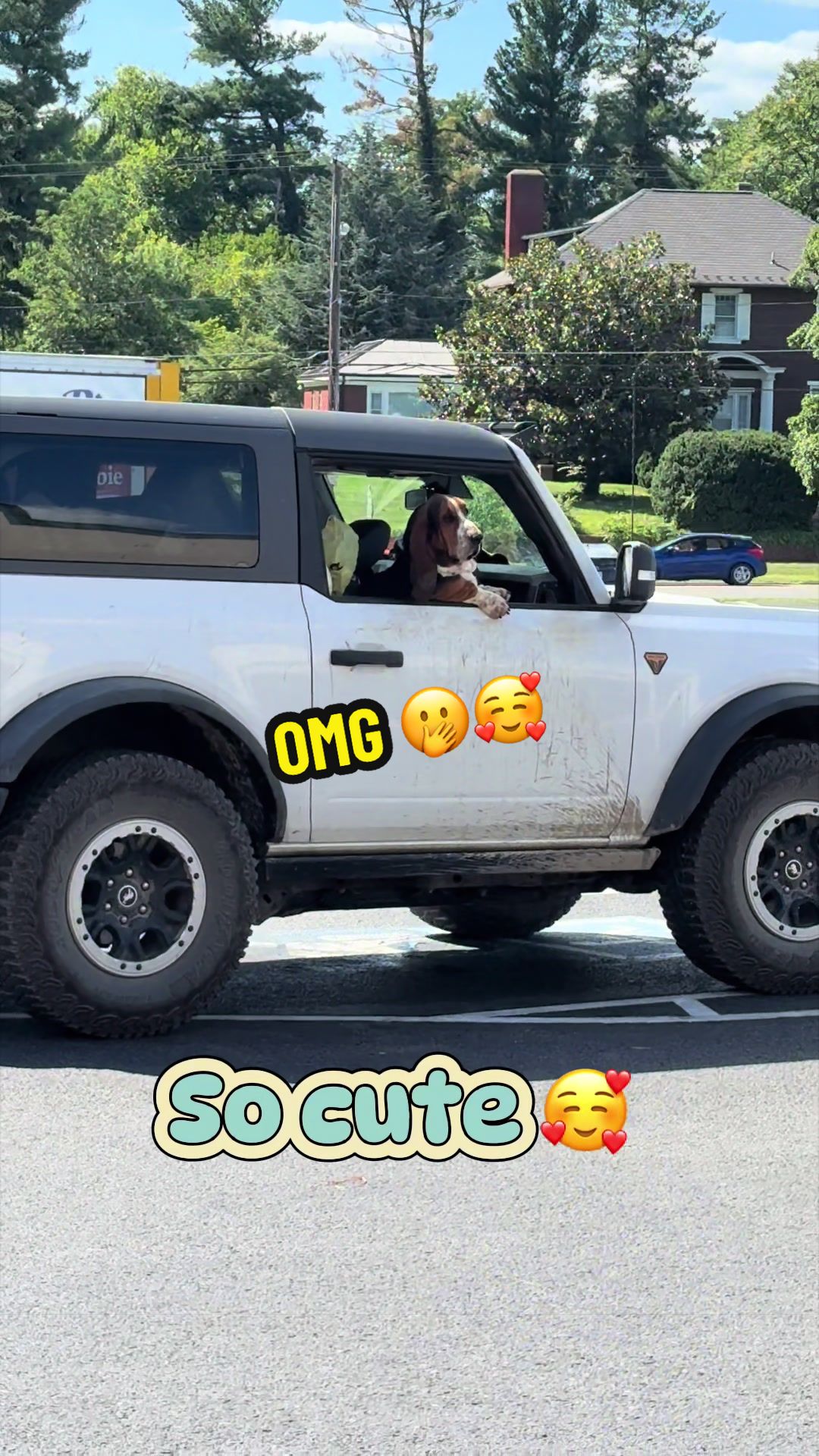 @Marie214
