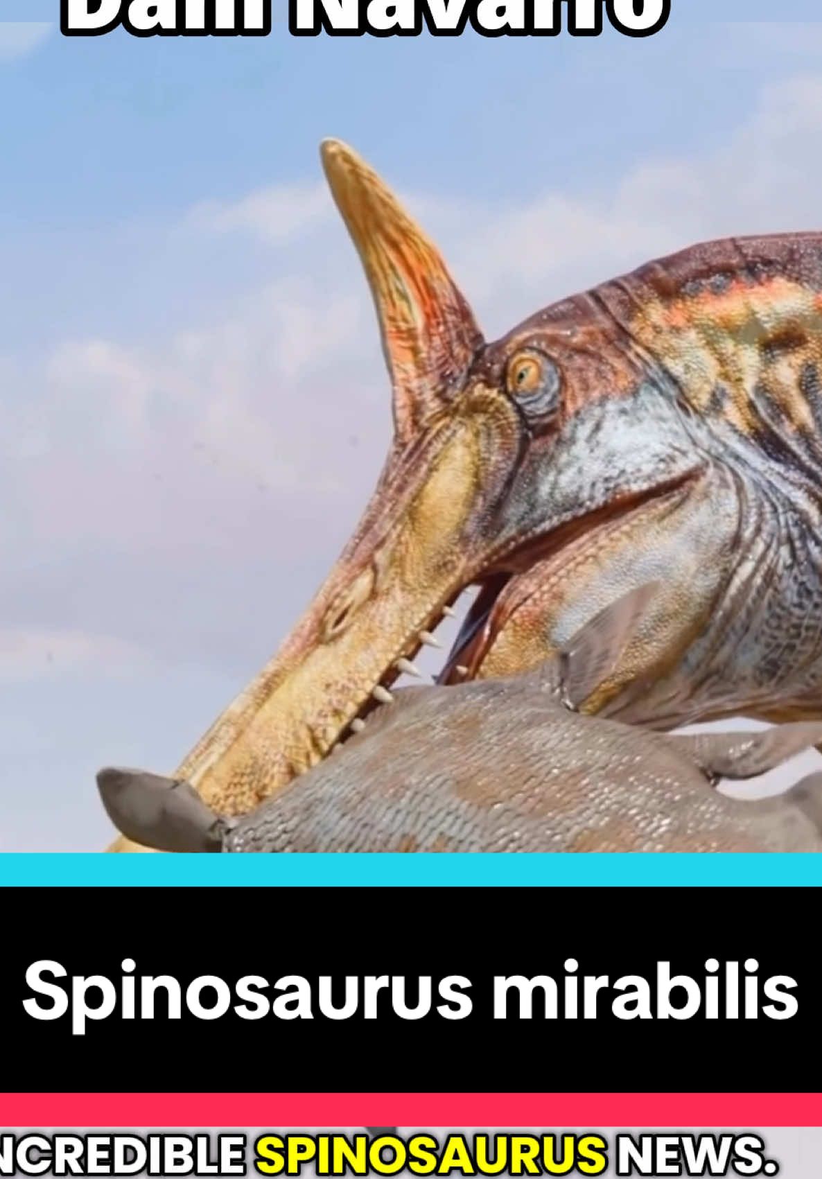 @Dino Guy