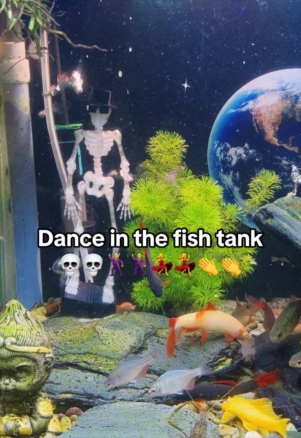 @Mr. Turtle