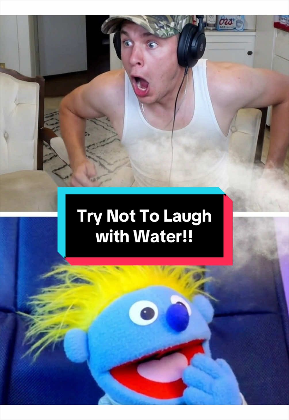 @PeterPrankster