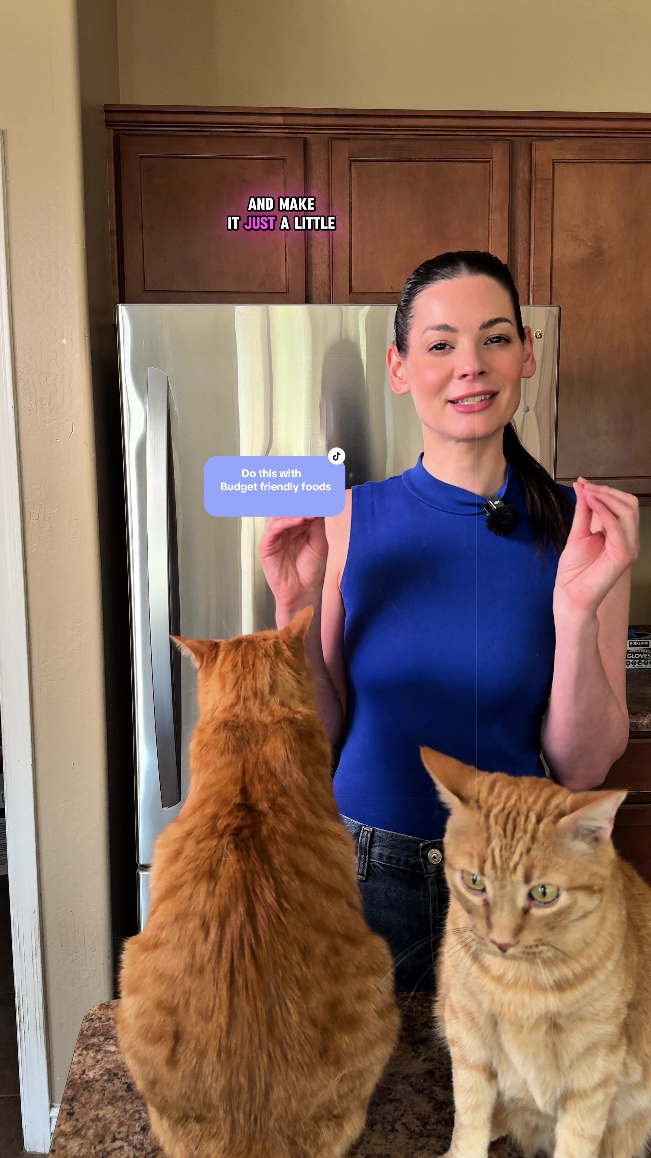 @Feminist Kitty | Cat Nutrition
