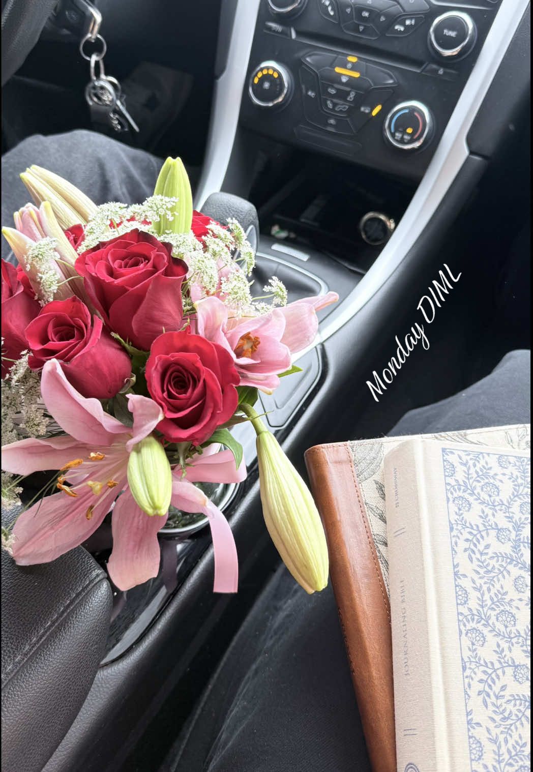 @han 👼 💐💗