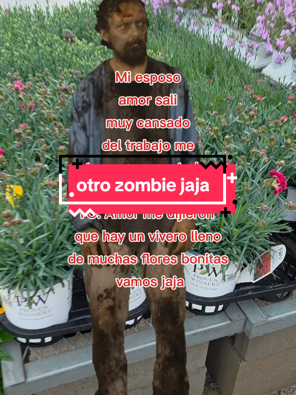 @✾🩷ᴍᴀʀᴛɪɴᴀ ʀᴇʏᴇs ᴍᴀʟᴅᴏɴᴀᴅᴏ🩷 ✾