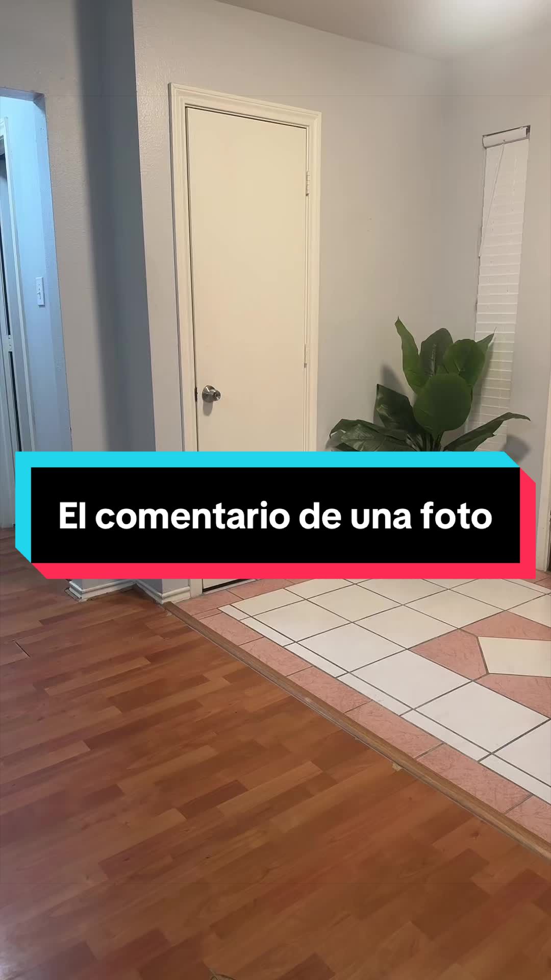 @yomax_risas