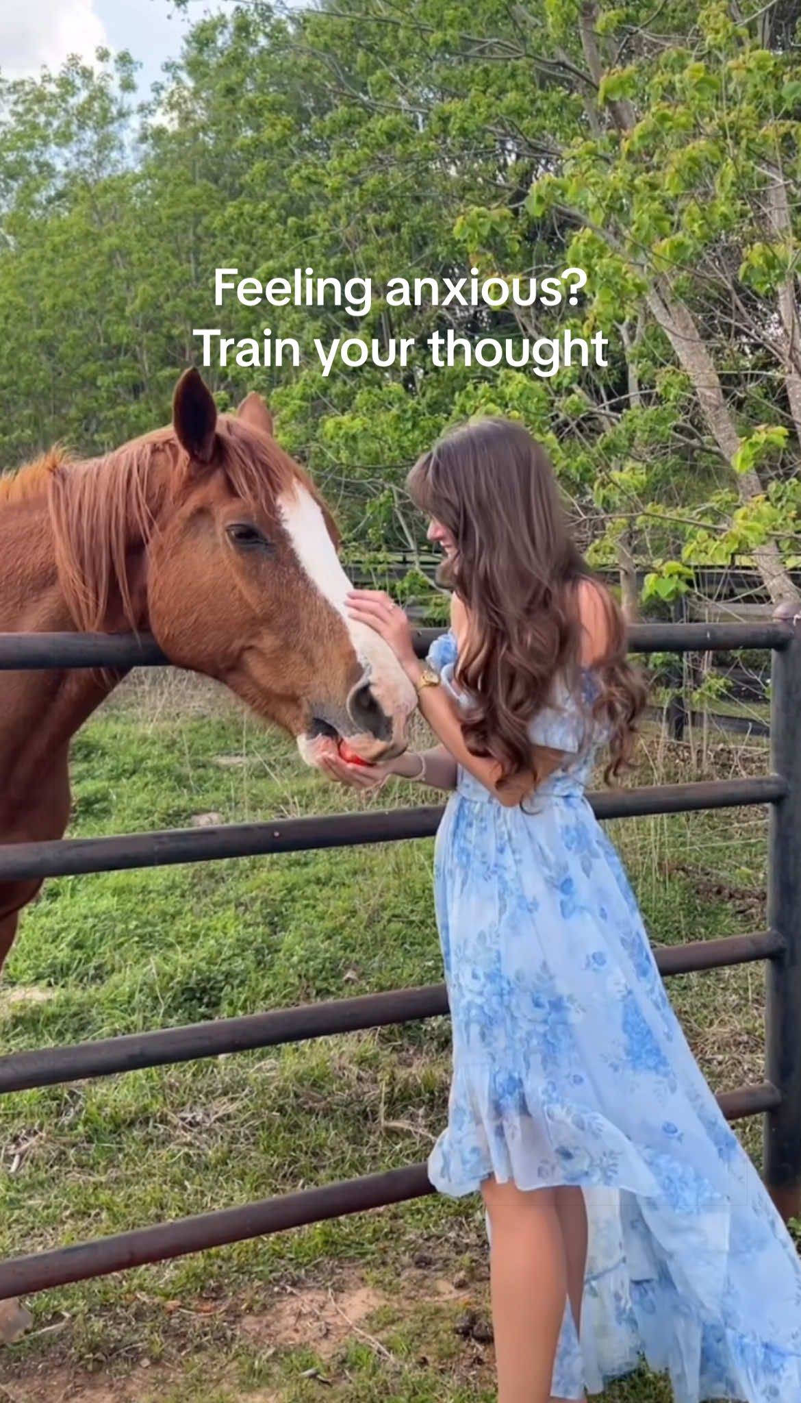 @meredith.christine