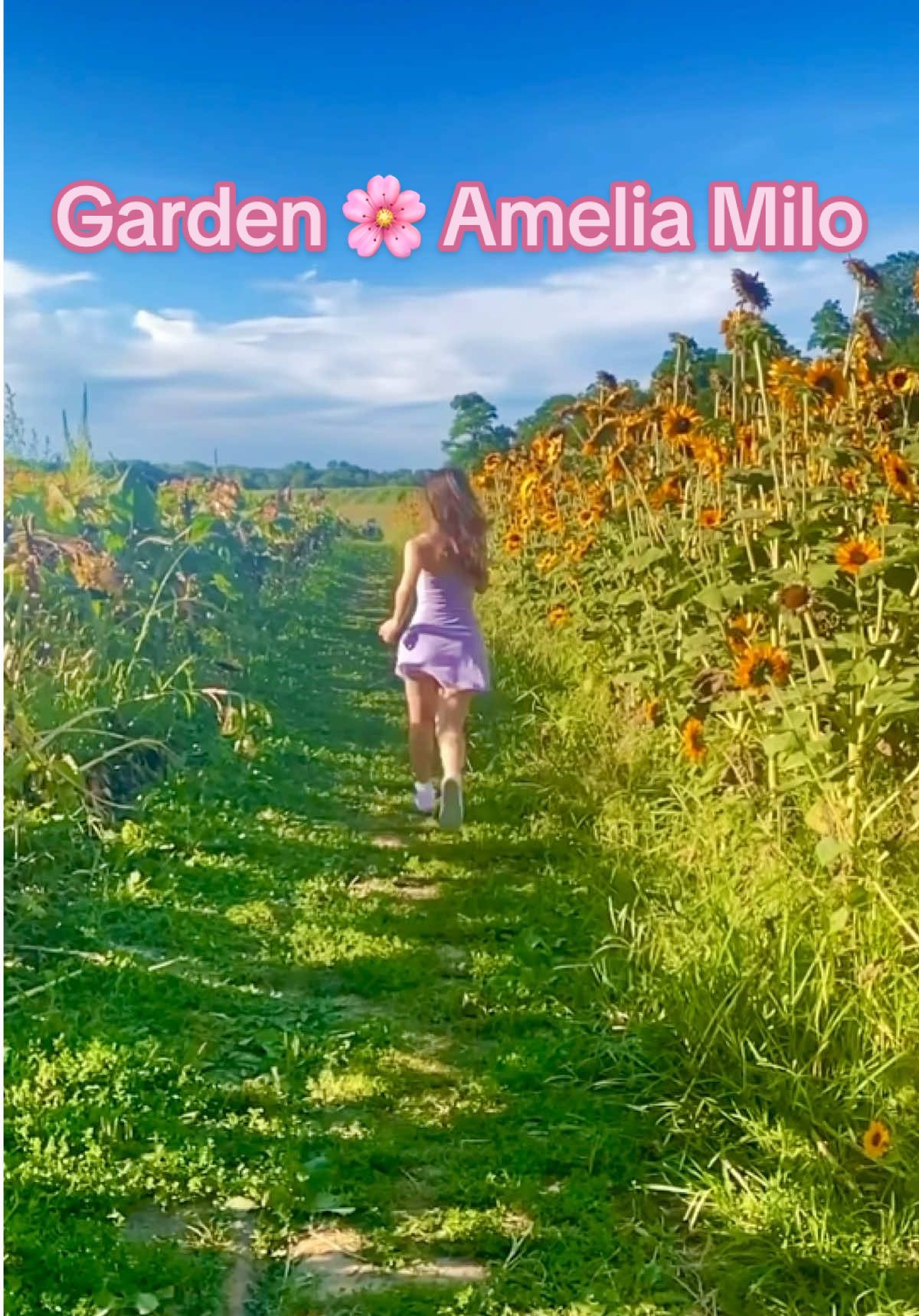 @Amelia Milo