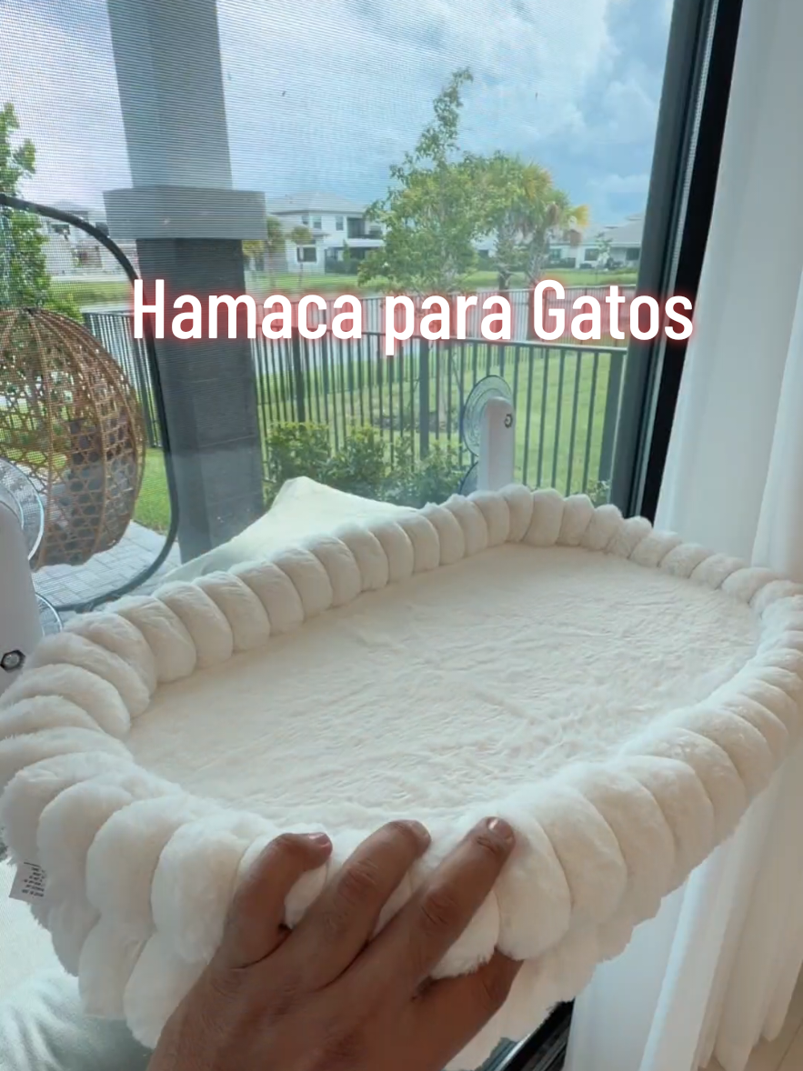 @Esteban
