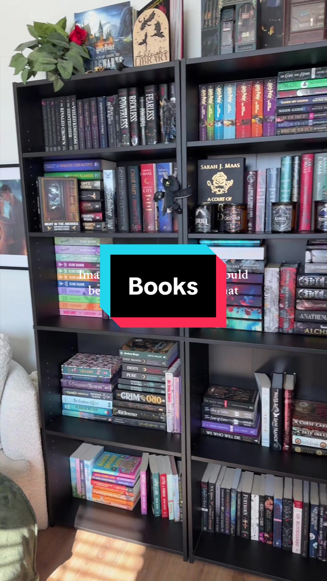 @Ashleigh | Booktok 📖🦋✨