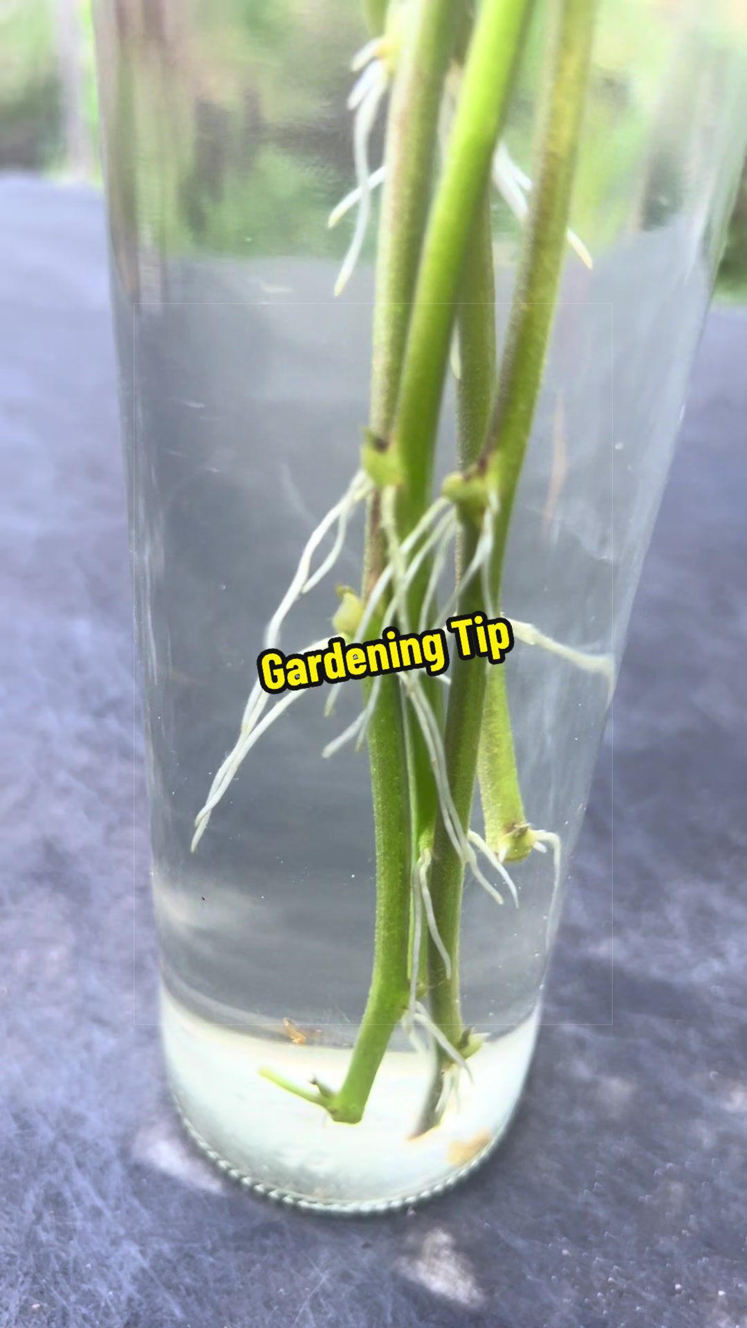 @Gardening4ME